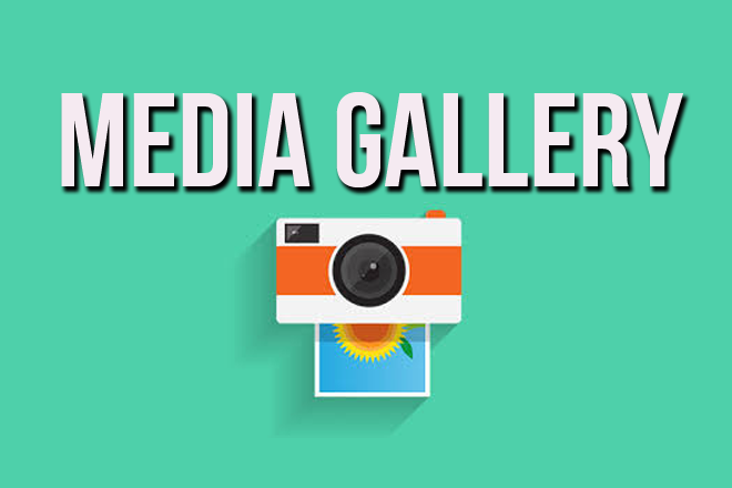 Media Gallery